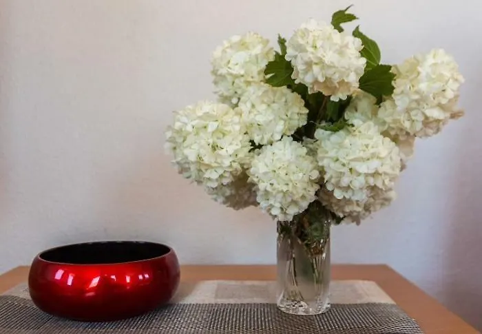 Slanac Вели-Иж